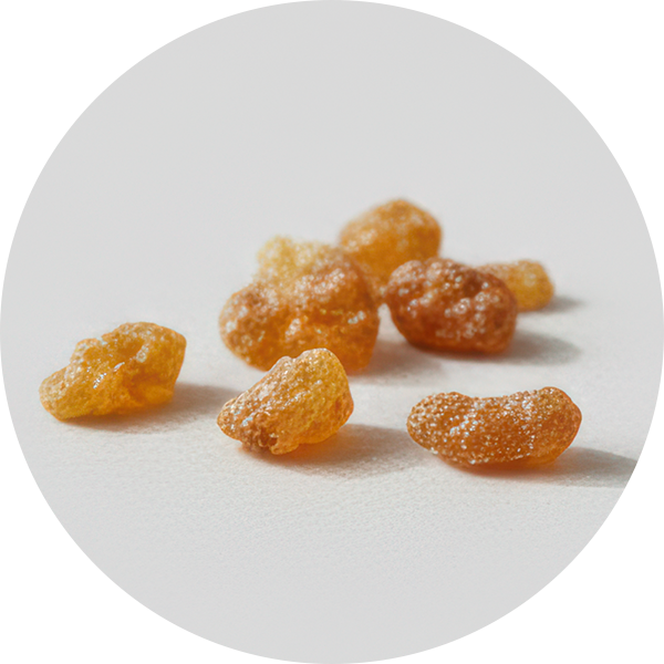 Boswellia