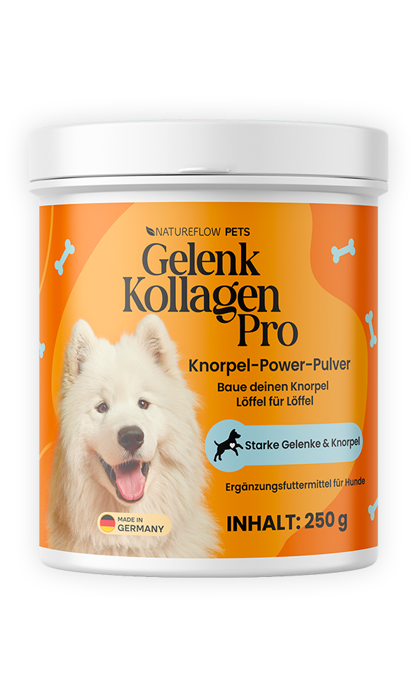 Die Vorteile von NatureFlow Kollagenpulver auf einen Blick: