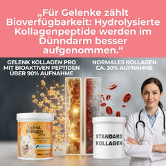 Gelenk Kollagen - Natureflow Pets - 250g