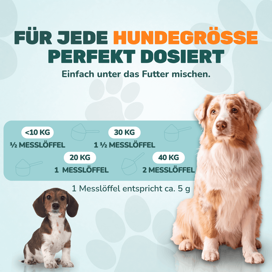 Gelenk Kollagen - Natureflow Pets - 250g