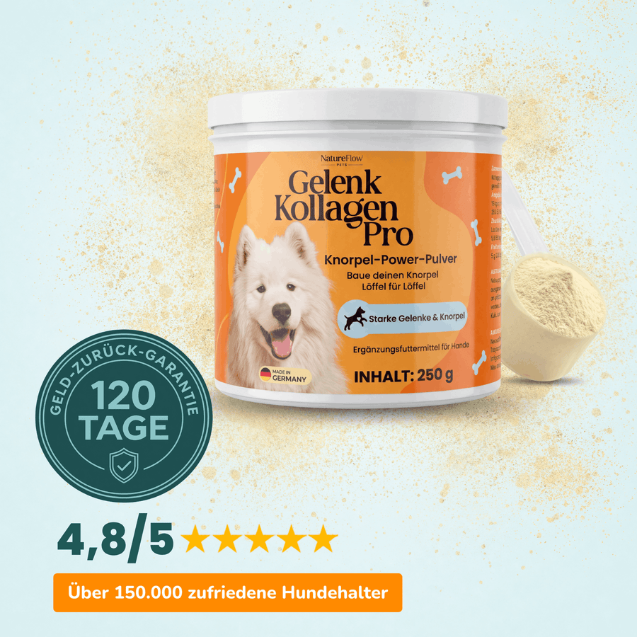 Gelenk Kollagen - Natureflow Pets - 250g