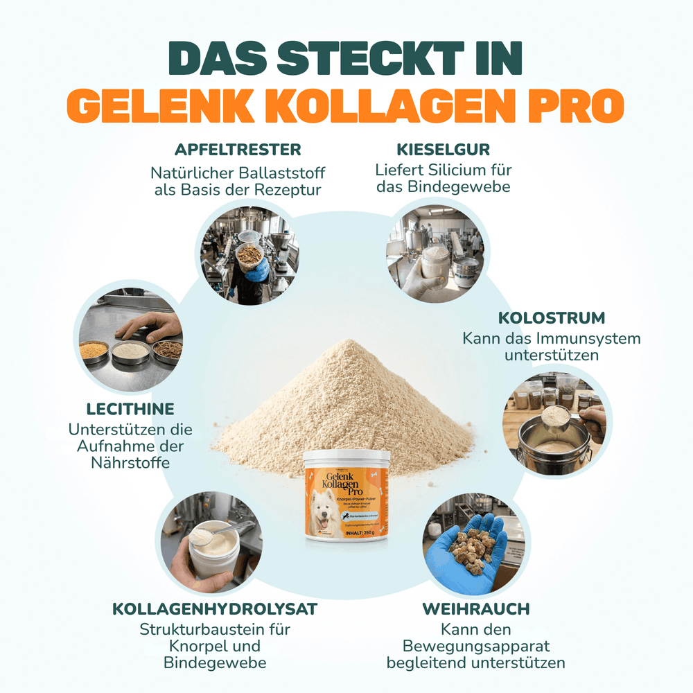 Gelenk Kollagen - Natureflow Pets - 250g