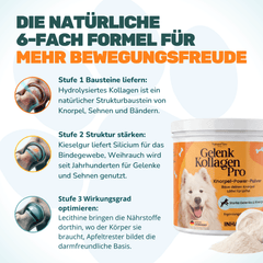 Gelenk Kollagen - Natureflow Pets - 250g