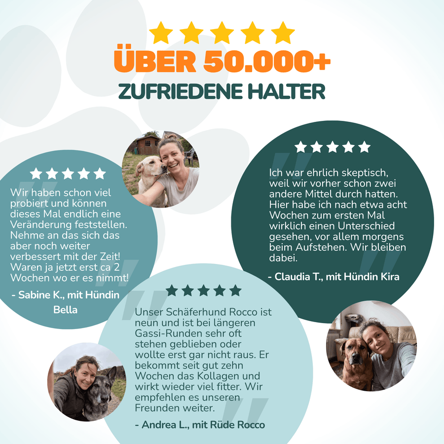 Gelenk Kollagen - Natureflow Pets - 250g