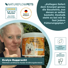 Gelenk Kollagen - Natureflow Pets - 250g