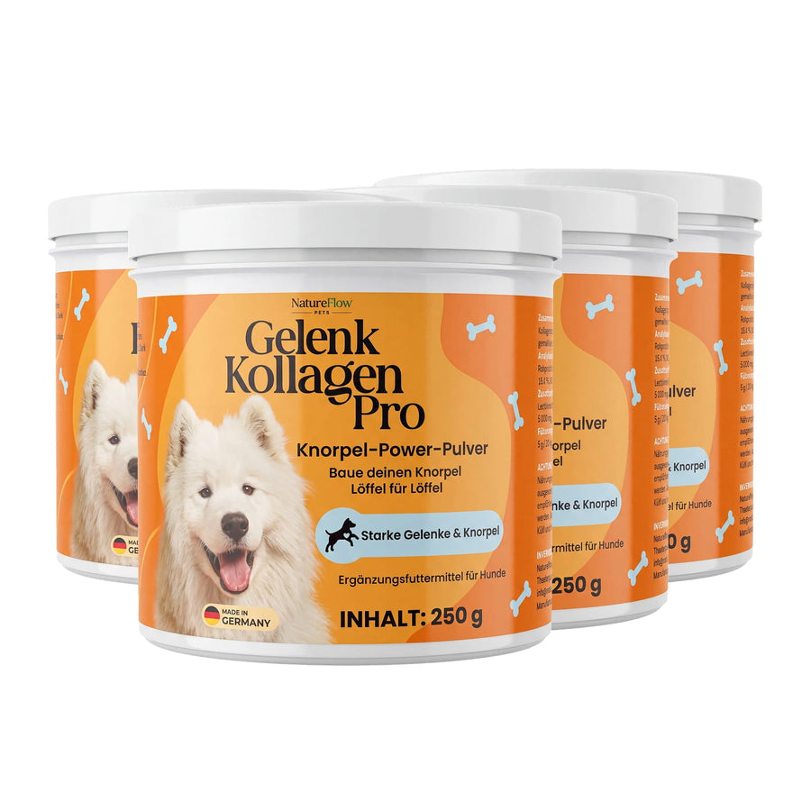 Gelenk Kollagen - Natureflow Pets - 1000g (4x250g)