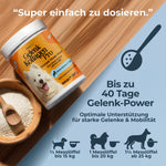 Gelenk Kollagen - Natureflow Pets - 250g