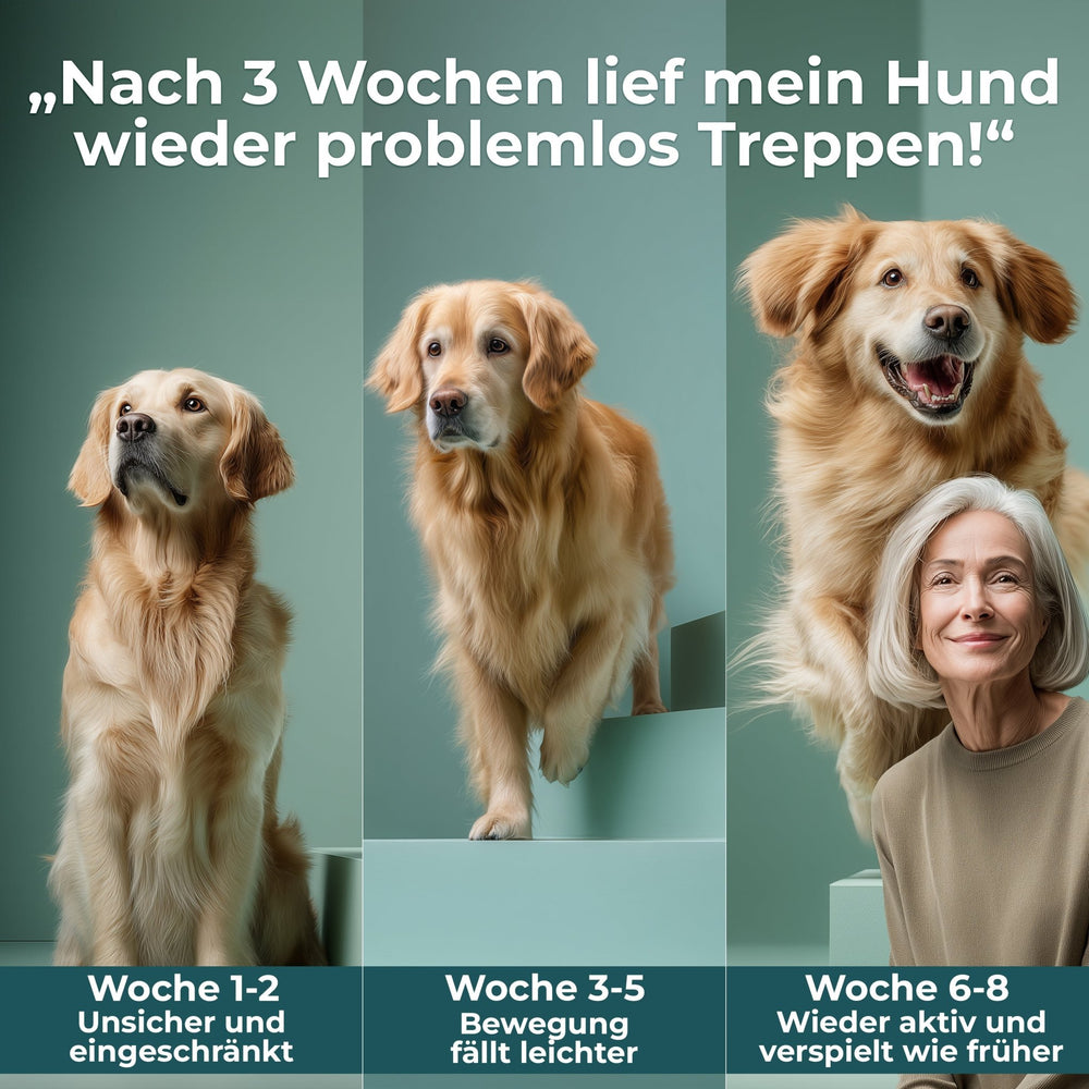 Gelenk Kollagen - Natureflow Pets - 250g