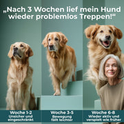Gelenk Kollagen - Natureflow Pets - 250g