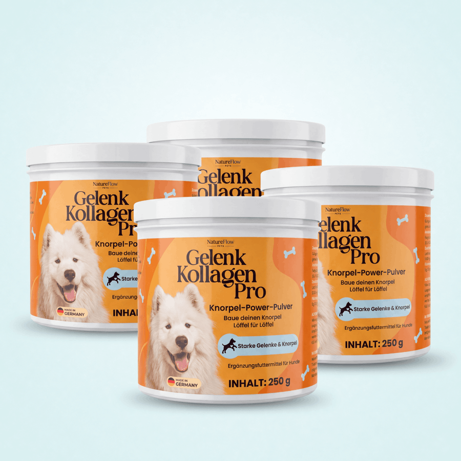 Gelenk Kollagen - Natureflow Pets - 1000g (4x250g)