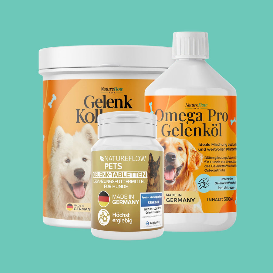 Gelenk - Kur L (26–50 kg) - Natureflow Pets - 