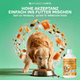 Gelenköl - Natureflow Pets - 1er Pack (500ml)