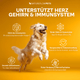 Gelenköl - Natureflow Pets - 1er Pack (500ml)