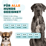 Gelenktabletten - Natureflow Pets - 100 Stück