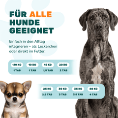 Gelenktabletten - Natureflow Pets - 100 Stück