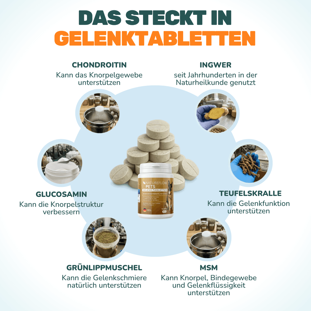 Gelenktabletten - Natureflow Pets - 100 Stück