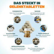Gelenktabletten - Natureflow Pets - 100 Stück