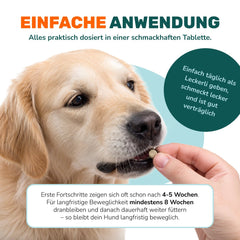 Gelenktabletten - Natureflow Pets - 100 Stück