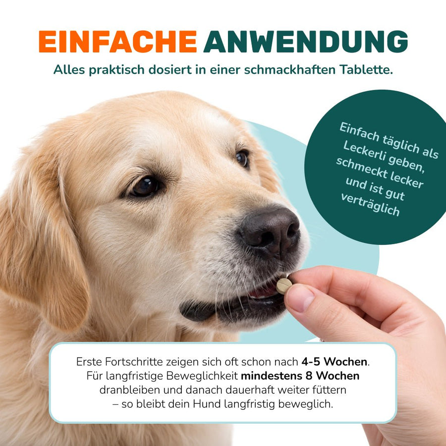 Gelenktabletten - Natureflow Pets - 100 Stück