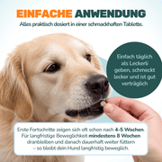 Gelenktabletten - Natureflow Pets - 100 Stück