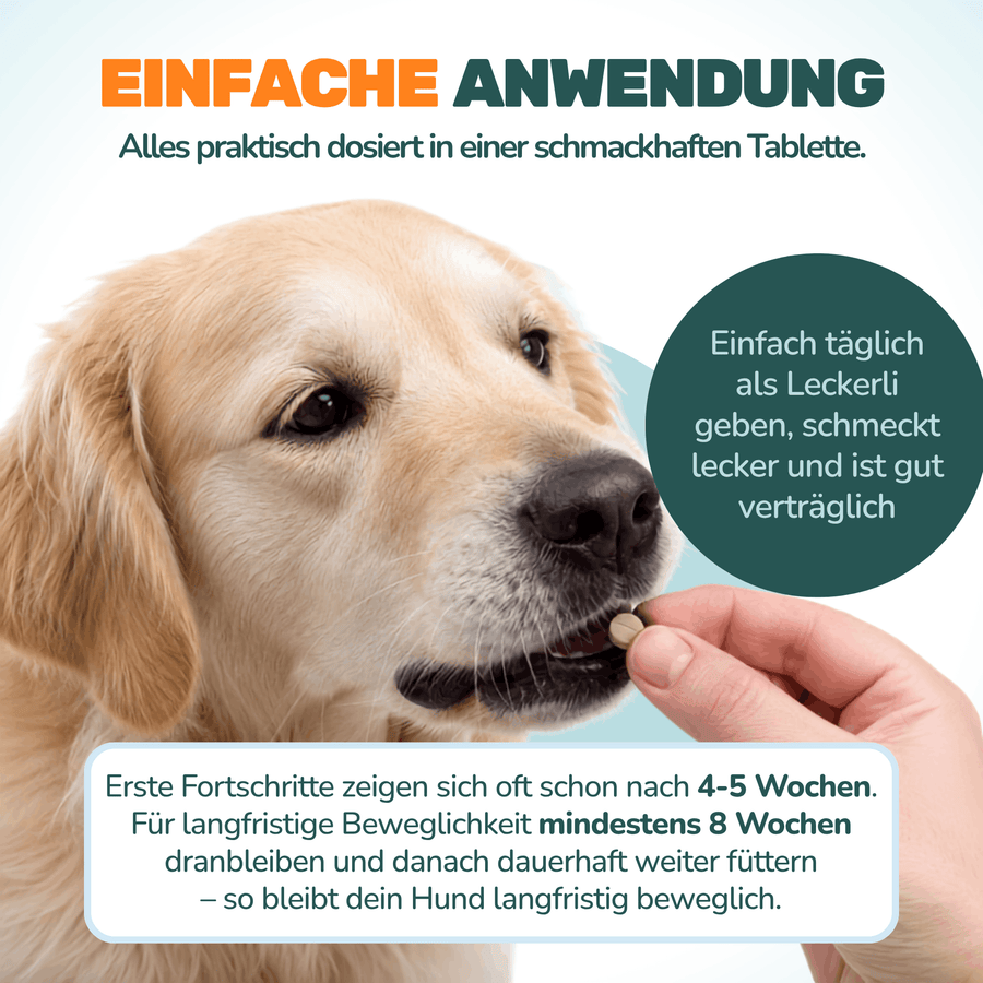 Gelenktabletten - Natureflow Pets - 100 Stück