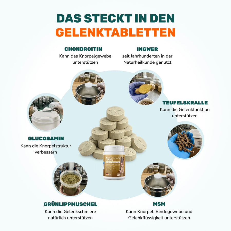 Gelenktabletten - Natureflow Pets - 100 Stück