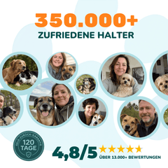 Gelenktabletten - Natureflow Pets - 100 Stück