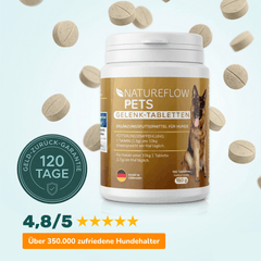 Gelenktabletten - Natureflow Pets - 100 Stück