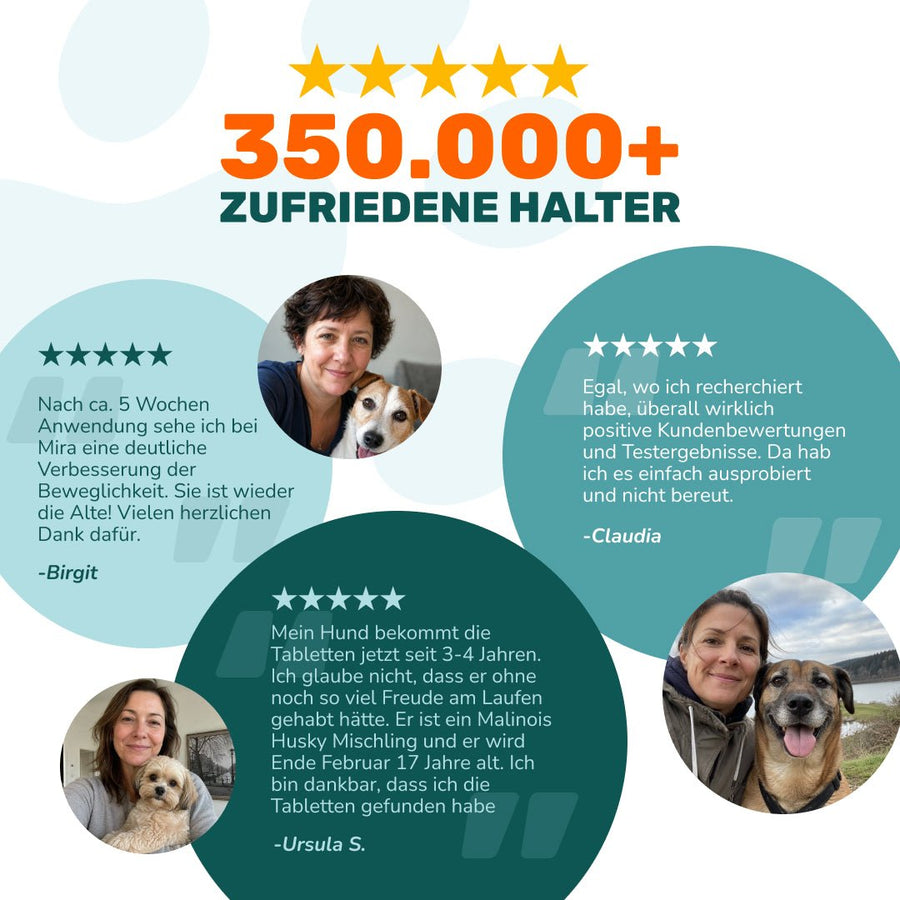 Gelenktabletten - Natureflow Pets - 100 Stück
