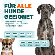 Gelenktabletten - Natureflow Pets - 100 Stück