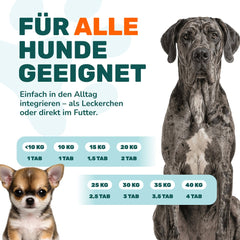 Gelenktabletten - Natureflow Pets - 100 Stück