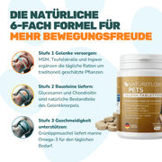 Gelenktabletten - Natureflow Pets - 100 Stück
