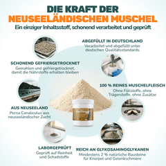Grünlippmuschelpulver