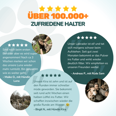 Grünlippmuschelpulver