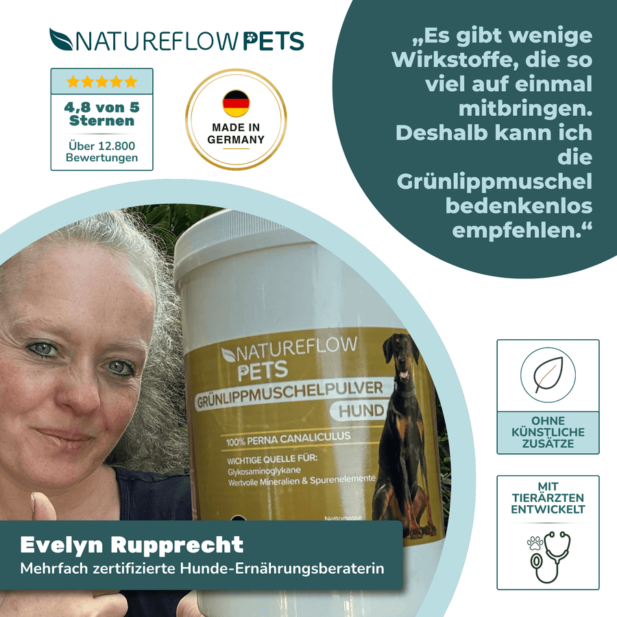 Grünlippmuschelpulver - Natureflow Pets - 500g