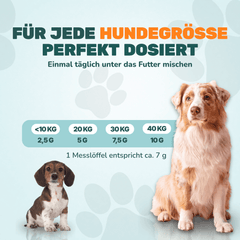 Grünlippmuschelpulver - Natureflow Pets - 500g