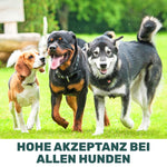 Grünlippmuschelpulver - Natureflow Pets - 500g