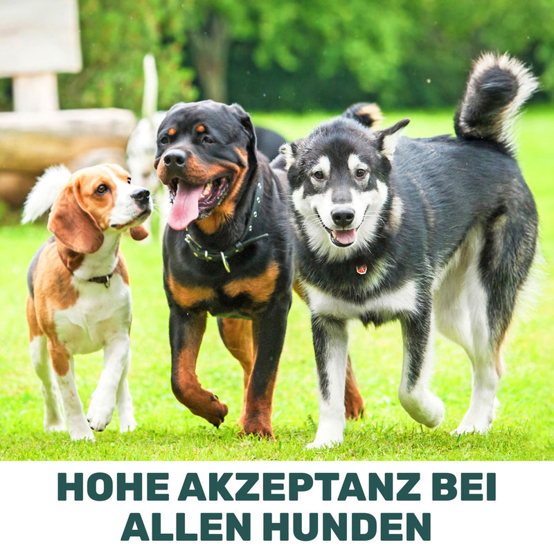Grünlippmuschelpulver - Natureflow Pets - 500g