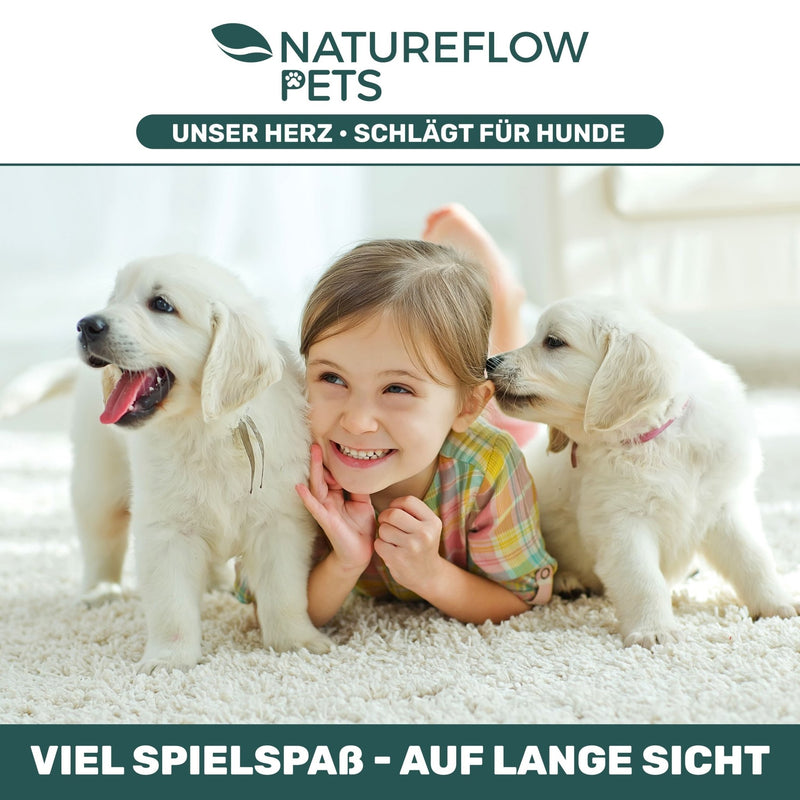 Grünlippmuschelpulver - Natureflow Pets - 500g