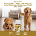 Präbiotikum & Probiotikum - Natureflow Pets - 120 Tabletten