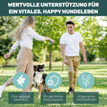 Präbiotikum & Probiotikum - Natureflow Pets - 120 Tabletten