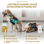Präbiotikum & Probiotikum - Natureflow Pets - 120 Tabletten
