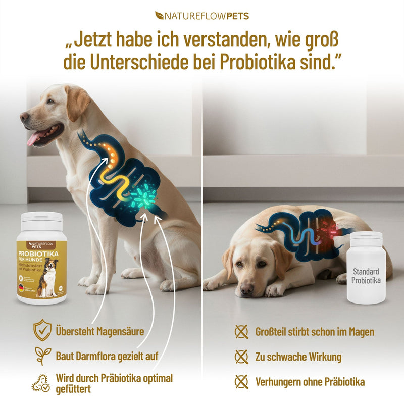 Präbiotikum & Probiotikum - Natureflow Pets - 120 Tabletten