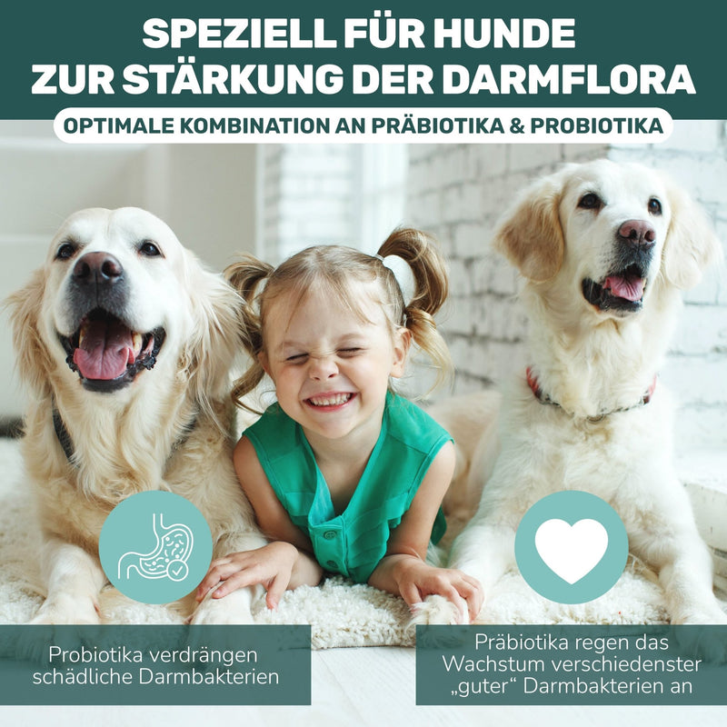 Präbiotikum & Probiotikum - Natureflow Pets - 120 Tabletten