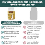 Präbiotikum & Probiotikum - Natureflow Pets - 120 Tabletten