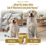 Präbiotikum & Probiotikum - Natureflow Pets - 120 Tabletten