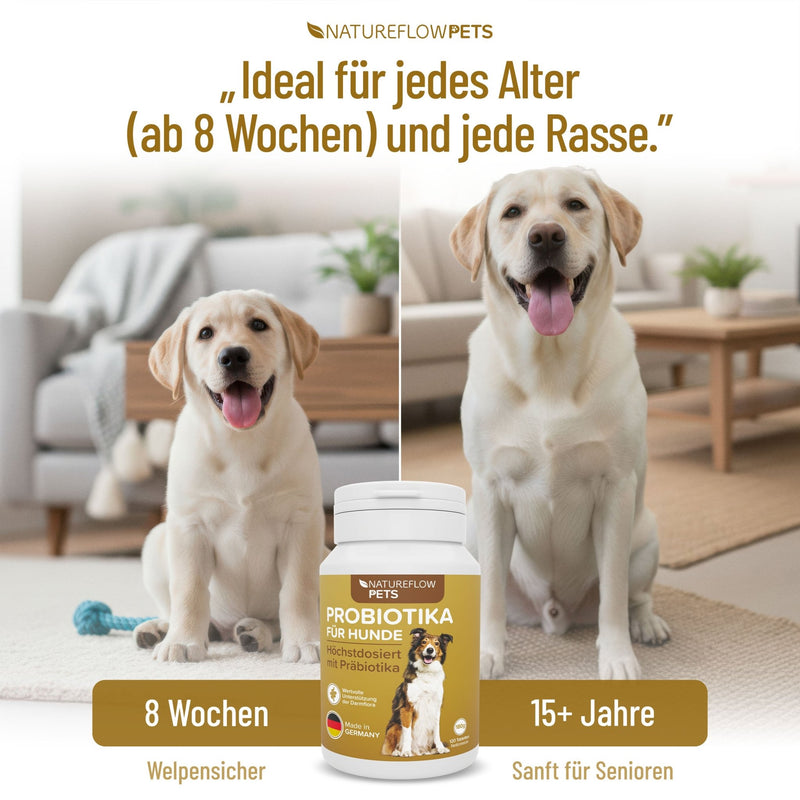 Präbiotikum & Probiotikum - Natureflow Pets - 120 Tabletten