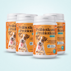 Präbiotikum & Probiotikum - Natureflow Pets - 480 Tabletten (4x120 TAB)