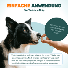 Präbiotikum & Probiotikum - Natureflow Pets - 120 Tabletten