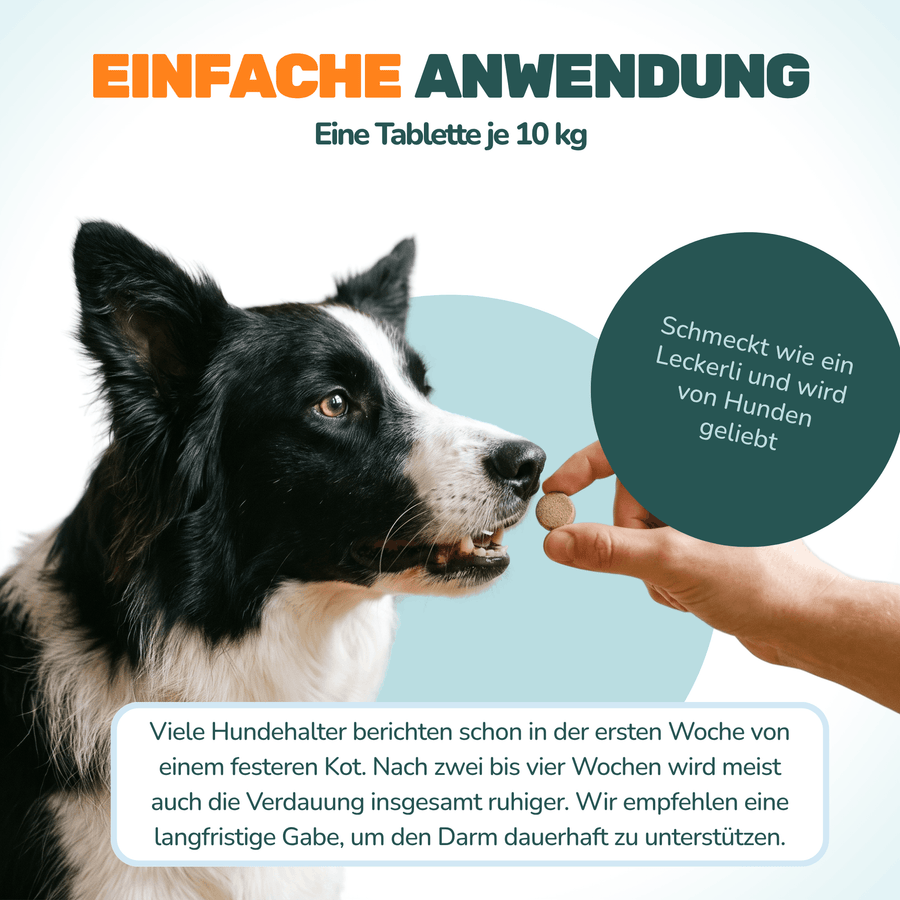 Präbiotikum & Probiotikum - Natureflow Pets - 120 Tabletten
